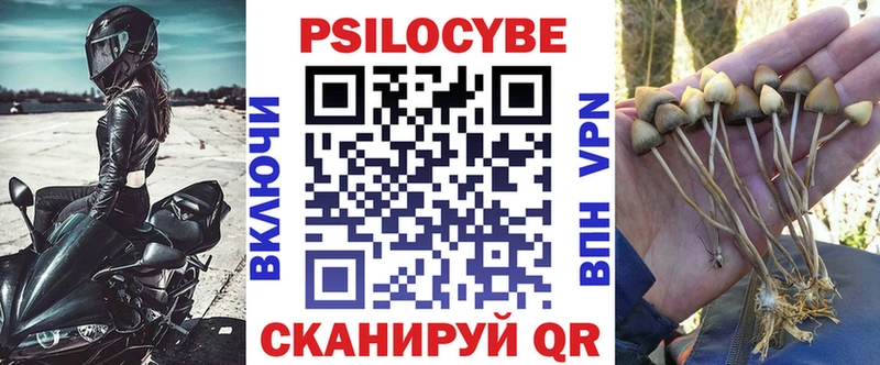 Галлюциногенные грибы Magic Shrooms  Купить где  Мегион 