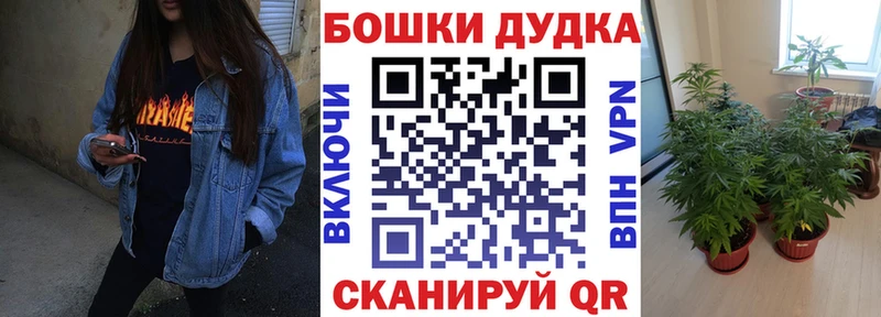Канабис сатива Мегион
